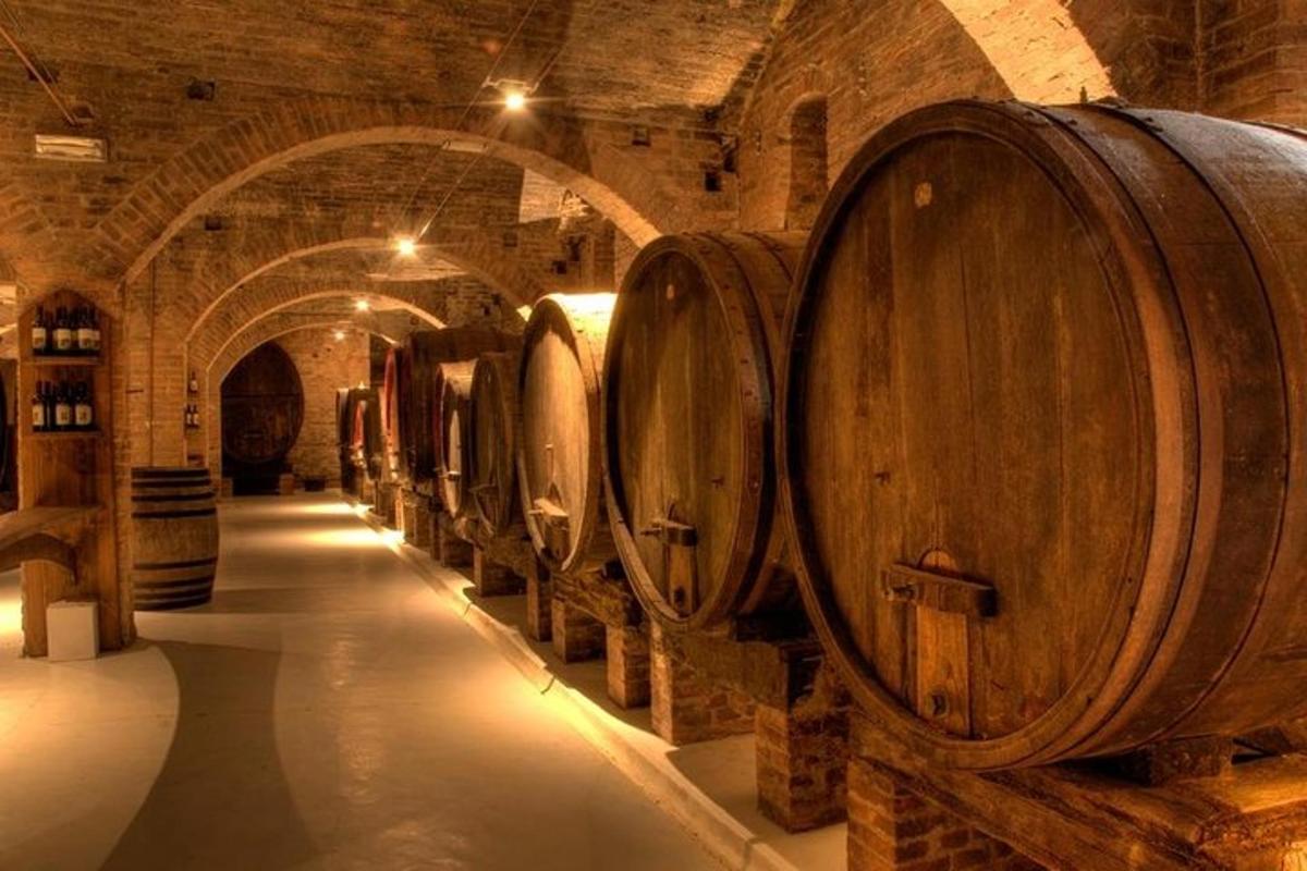 una fila di botti di vino in una cantina