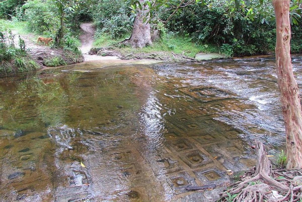 un cours d'eau avec un chemin de terre et des arbres