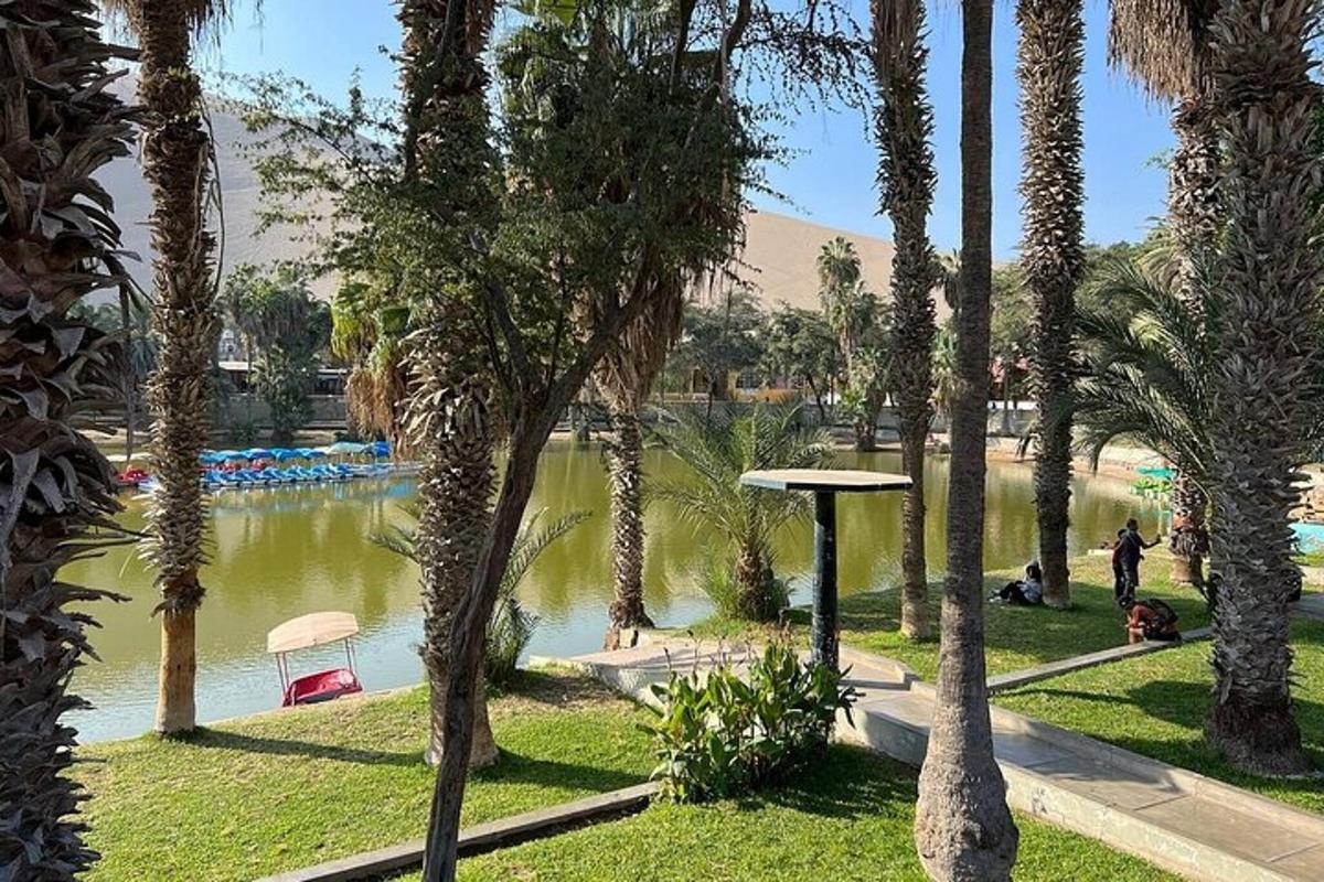 egy park pálmafákkal és egy vízfelülettel