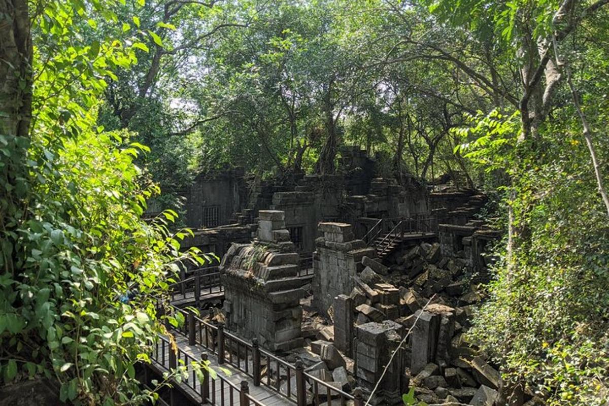 timbunan batu di dalam hutan dengan pokok