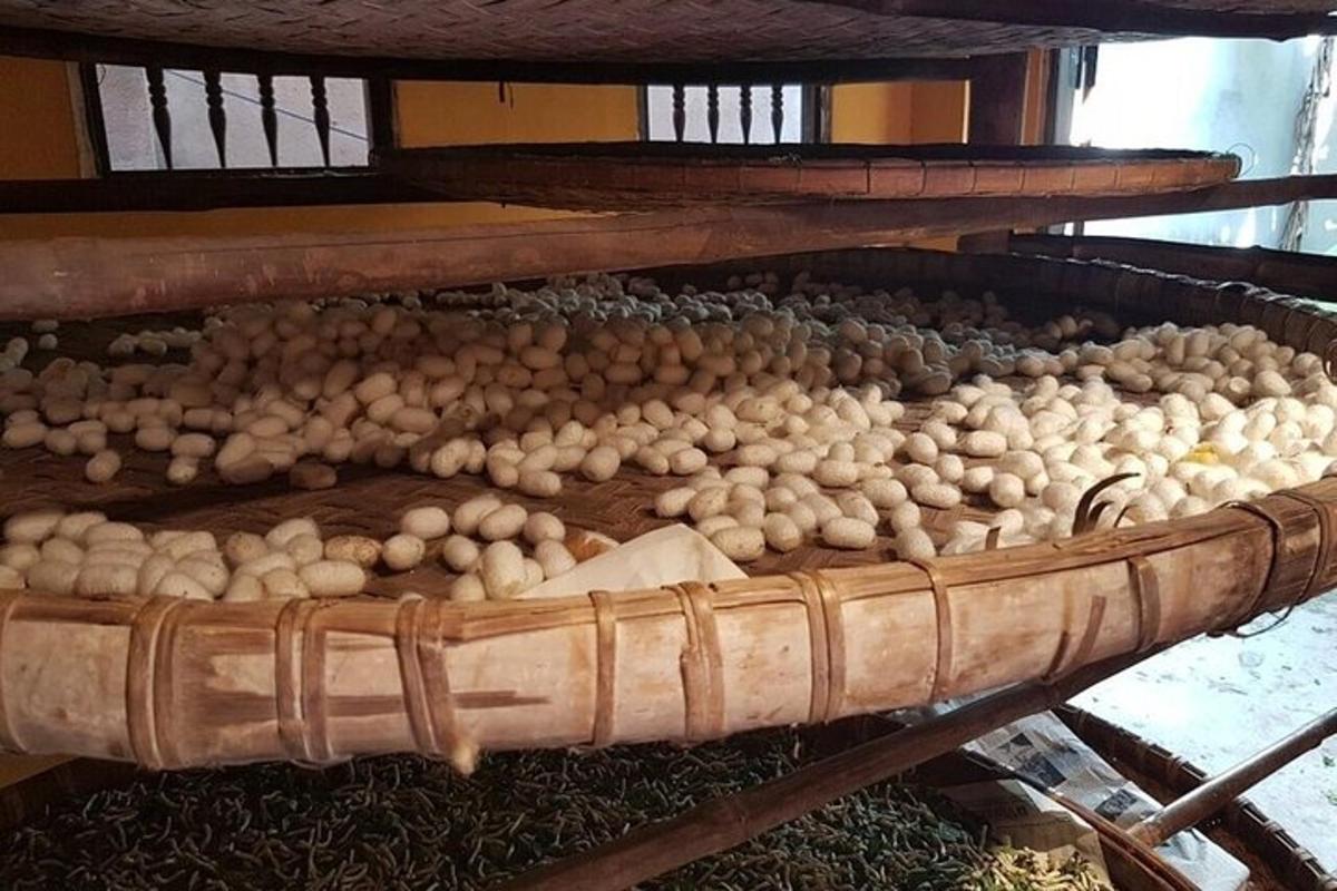 un mazzo di cipolle in un forno
