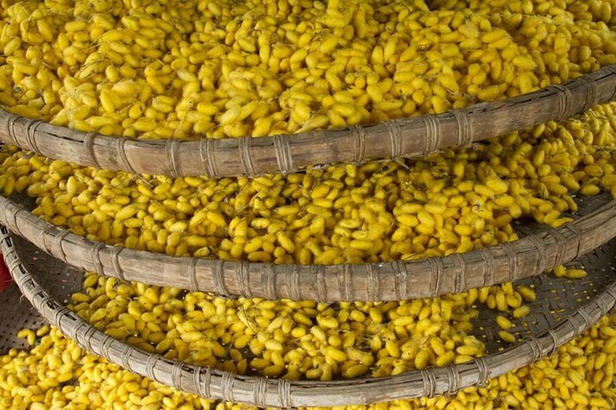 un grande mucchio di banane gialle in un cesto