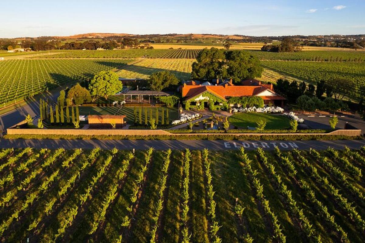 an aerial view of an estate with a vineyard