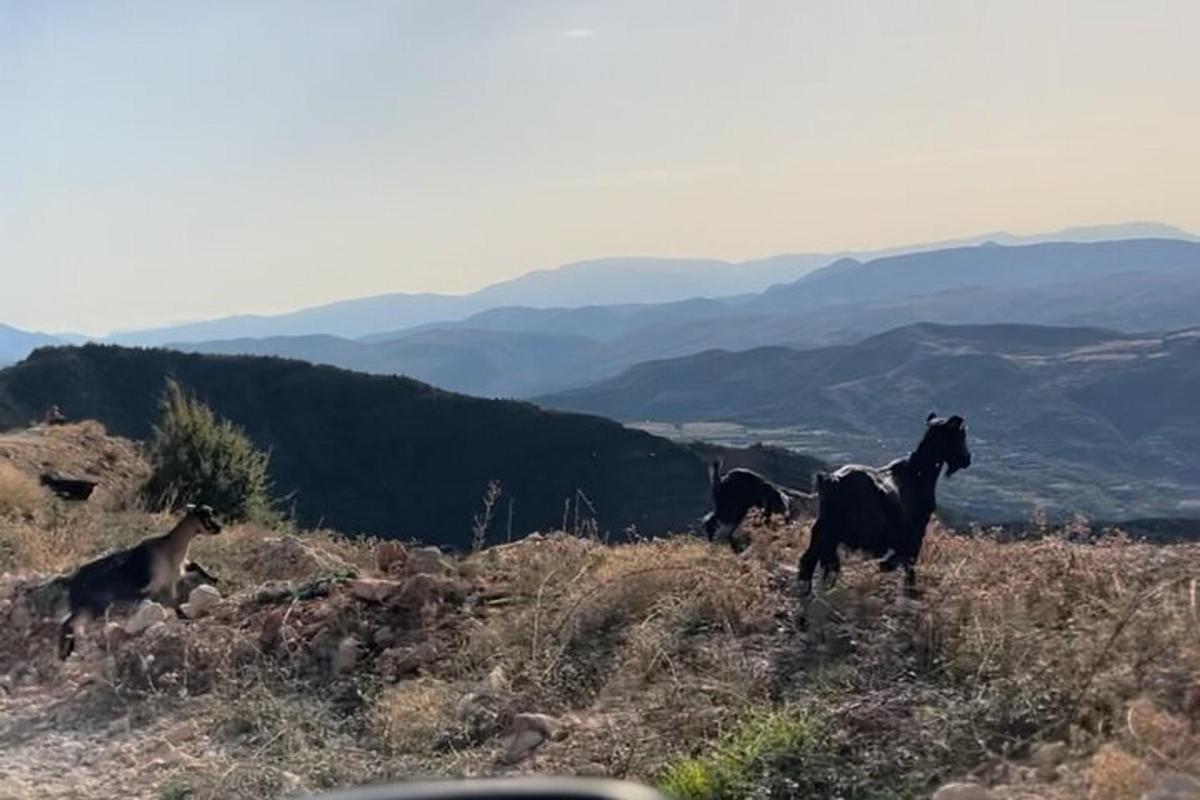 Turistik nokta fotoğrafı 3