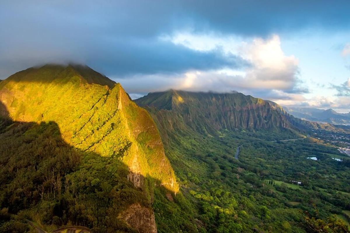 a view of a mountain with trees on it