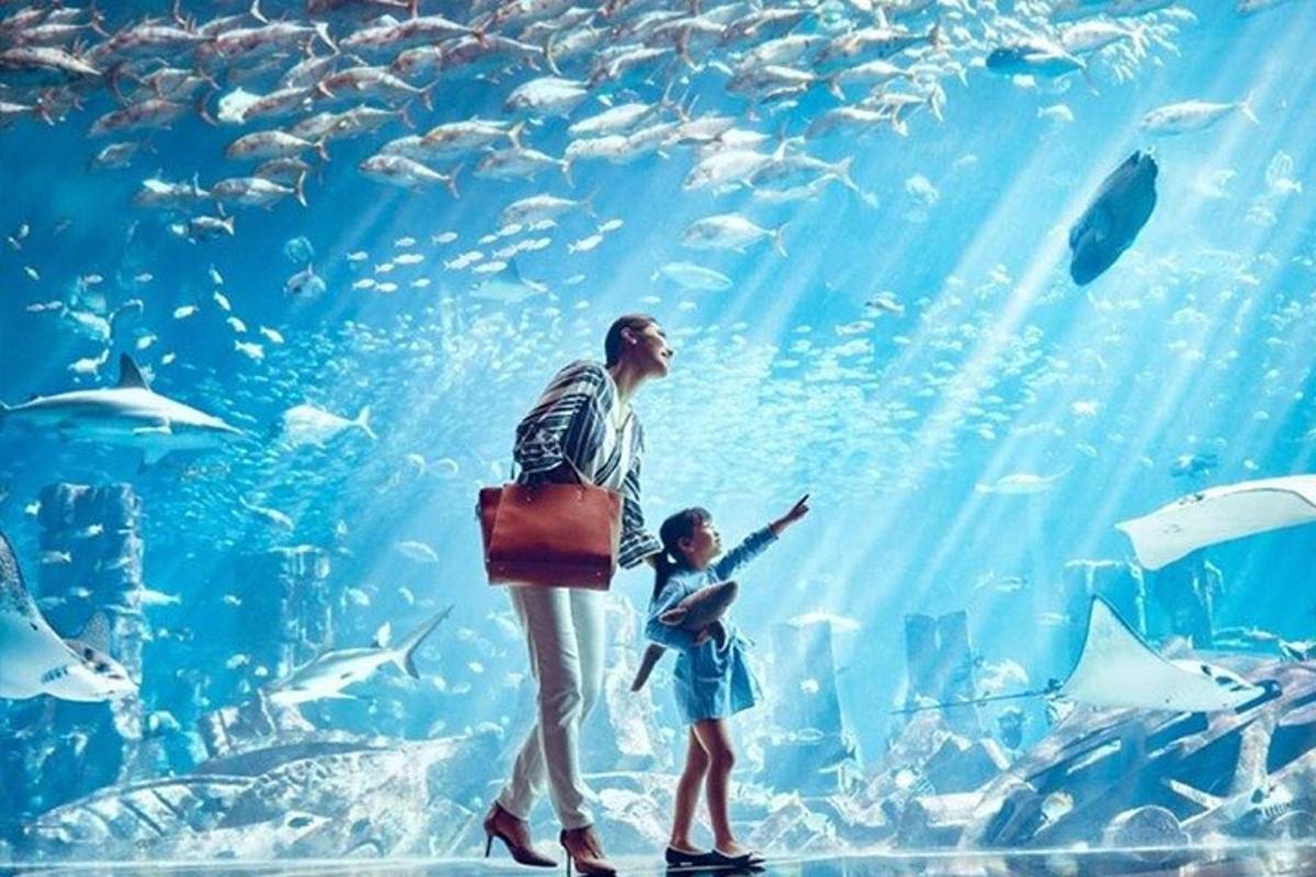 a man and a little girl looking at fish in an aquarium