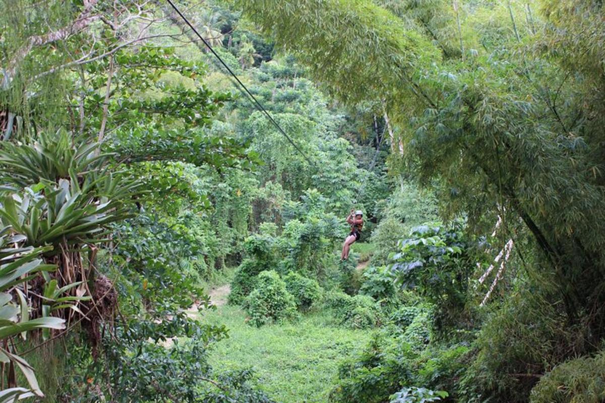 a person riding a zip line through a lush green forest