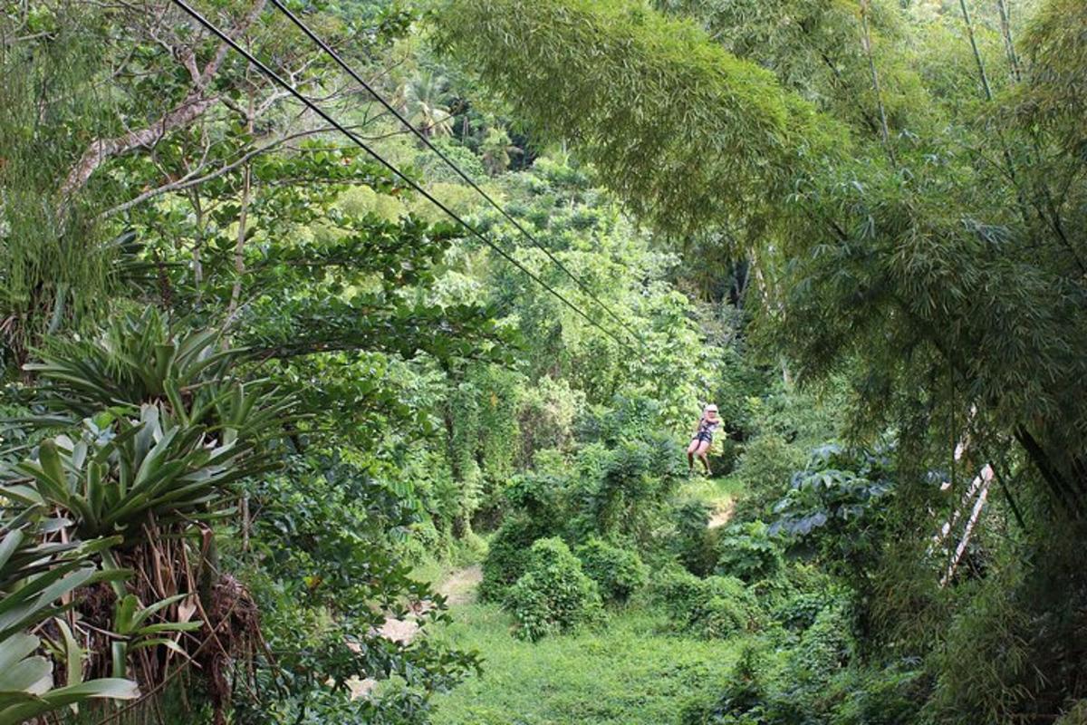 a person riding a horse in the jungle