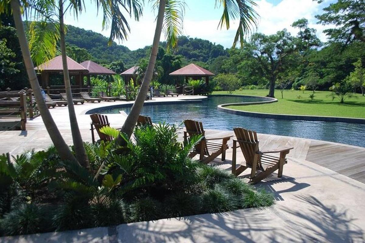un resort con piscina, sedie e alberi