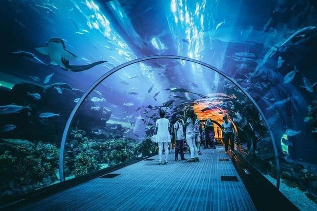 a group of people standing in front of an aquarium