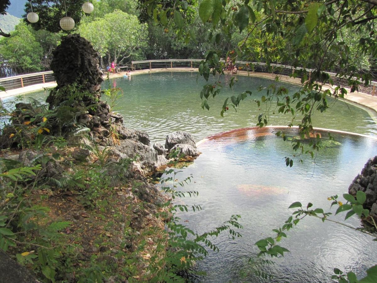 a pool of water in a park with a bridge