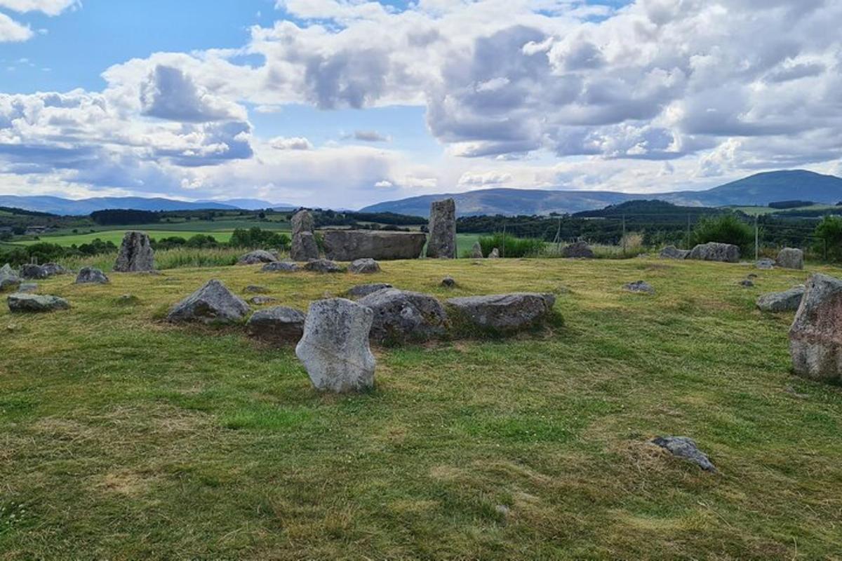 un campo con alcune rocce nell'erba