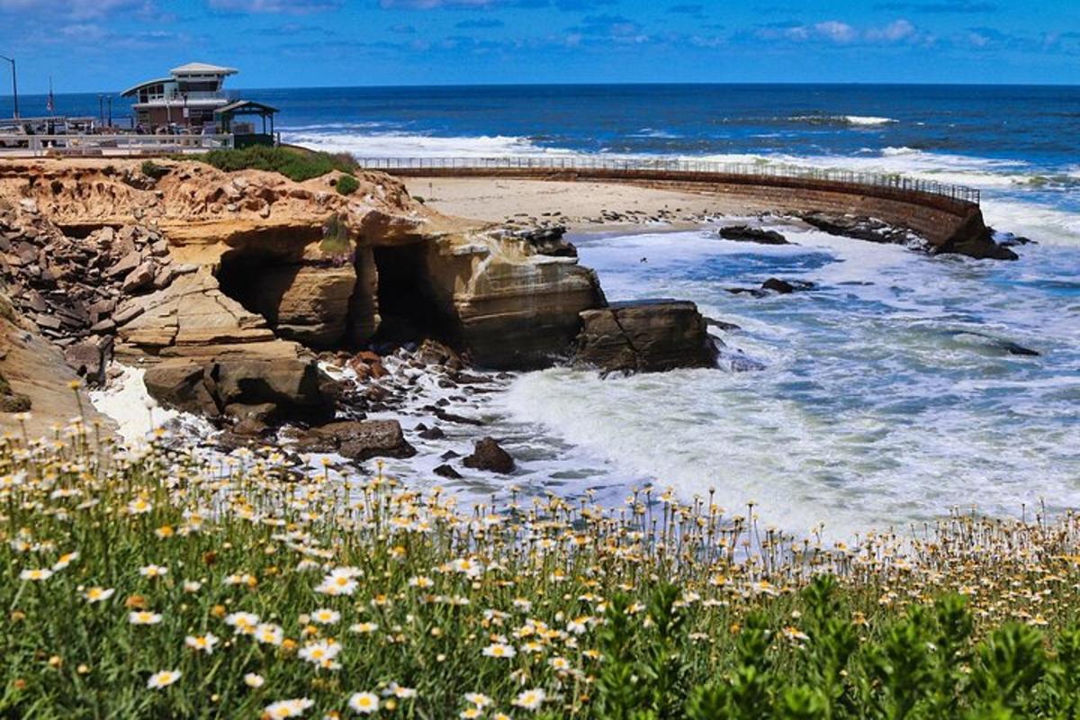 una platja amb algunes flors i l'oceà