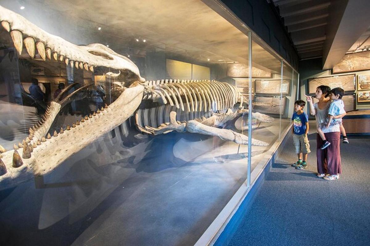 a woman and a child looking at a dinosaur skeleton