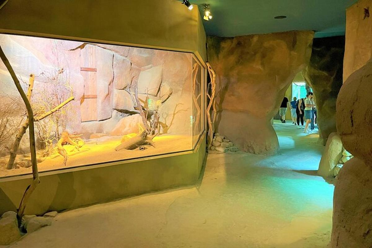 Attraction picture 6