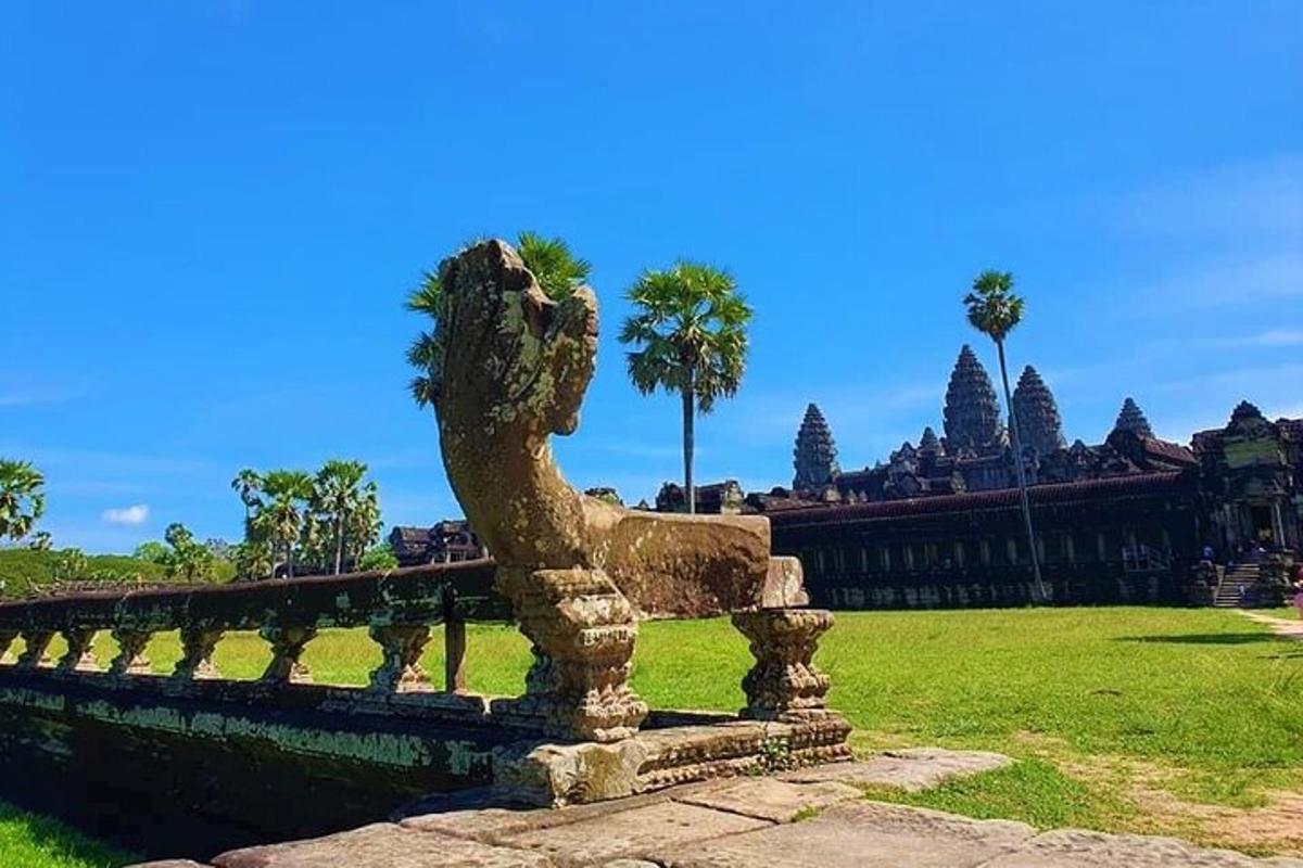 một bức tượng trong công viên với những cây cọ ở phía sau