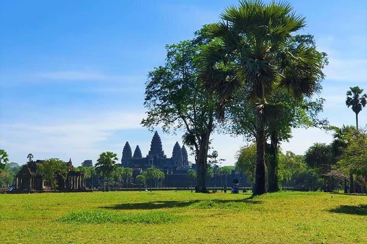 một cây cọ trên cánh đồng với một tòa nhà ở phía sau