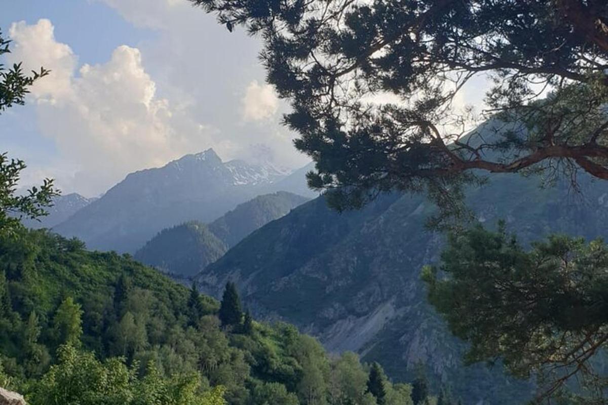 vista d'una vall amb muntanyes al fons