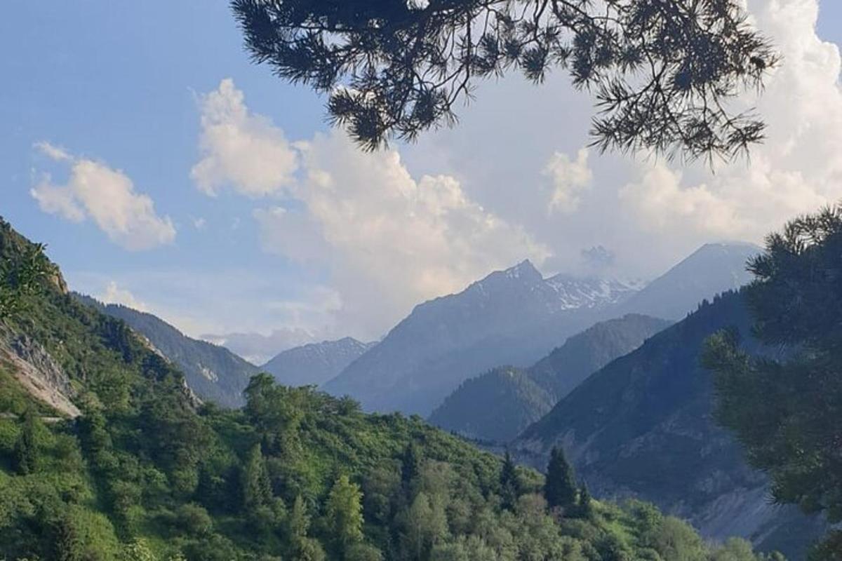 una vista d'una vall amb muntanyes i arbres