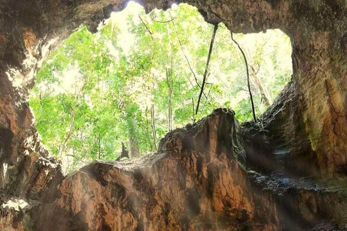 a view of a cave with trees in the background