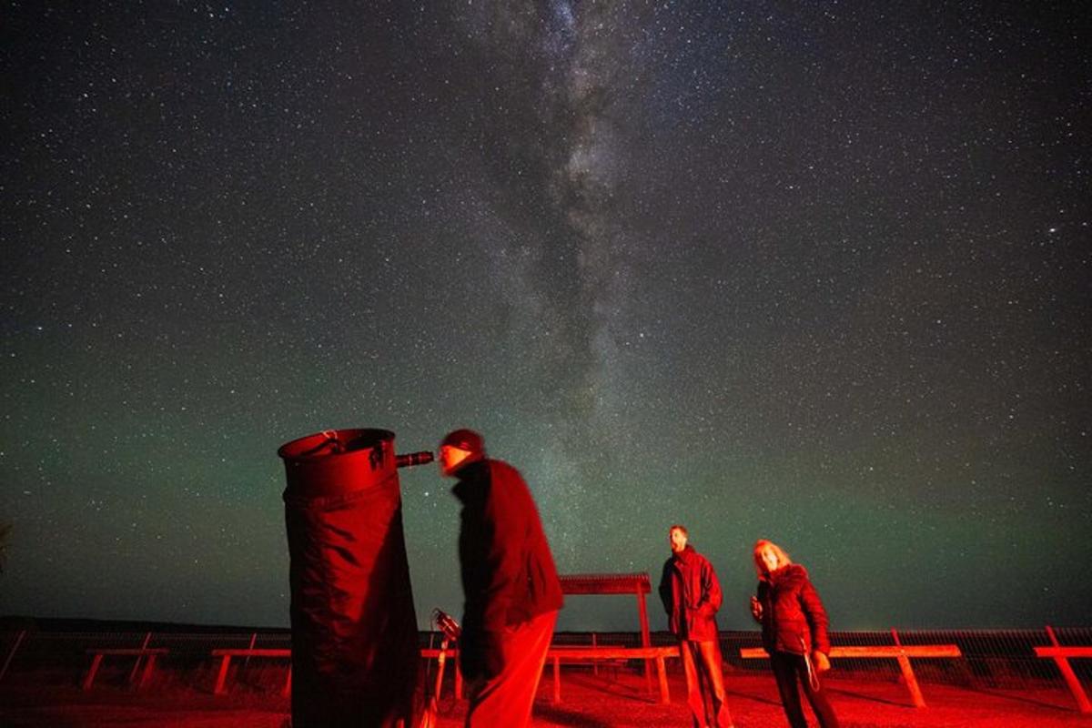 a group of people looking up at the night sky