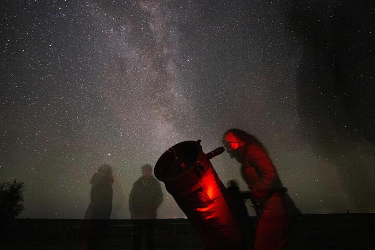 a group of people looking up at the night sky