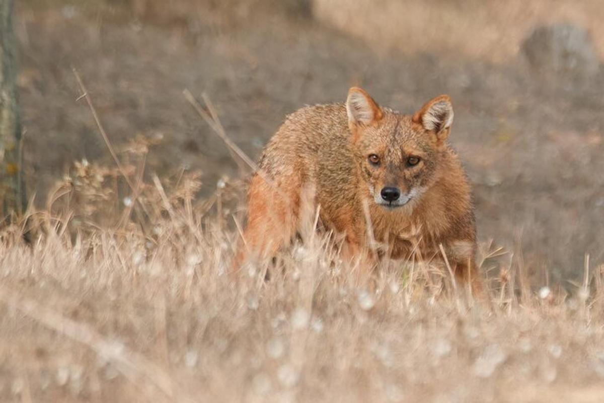 Lankytinos vietos ar pramogos nuotrauka numeris 3