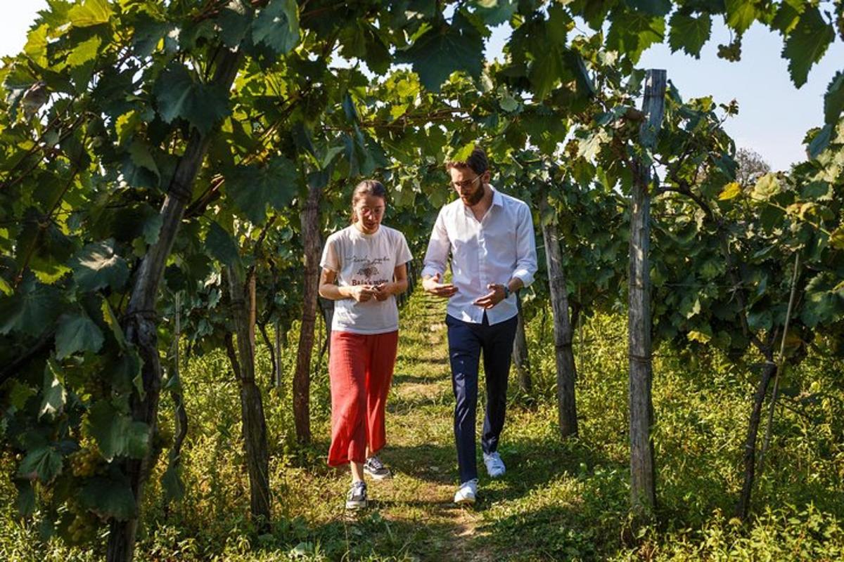 a man and a woman walking through a vineyard