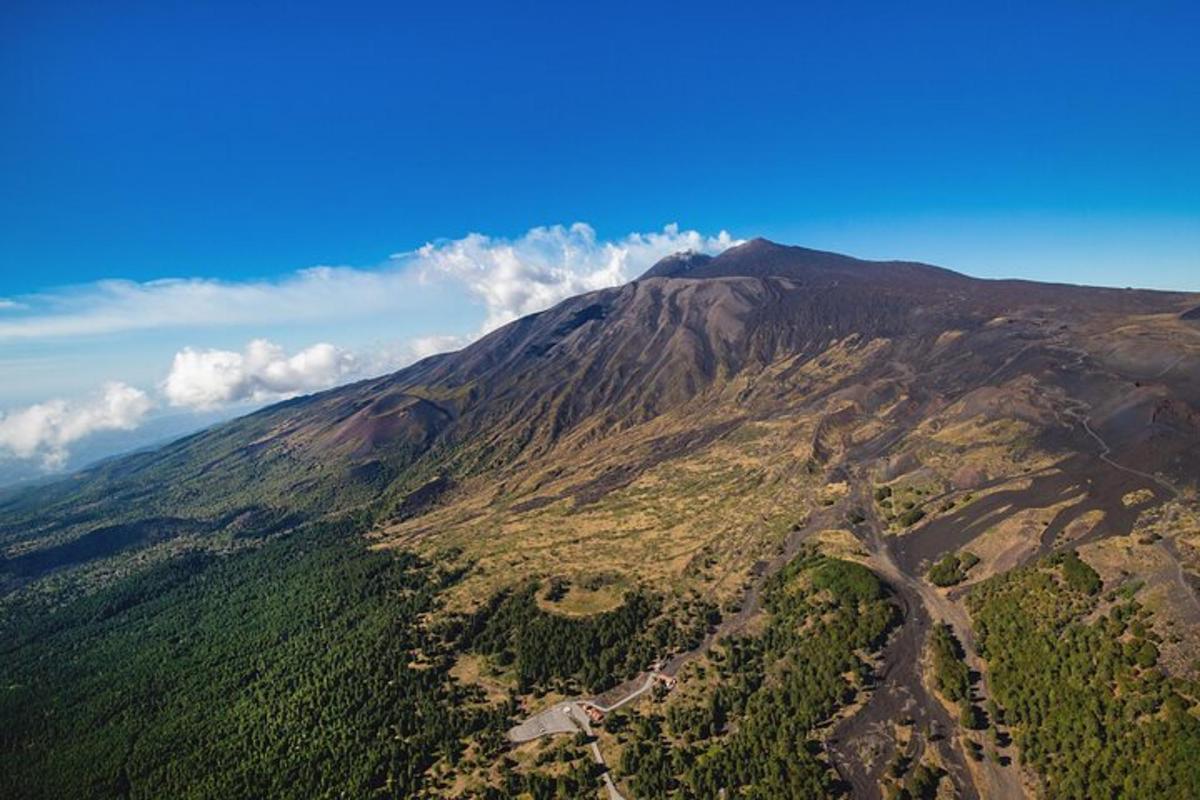 an aerial view of a mountain with trees on it