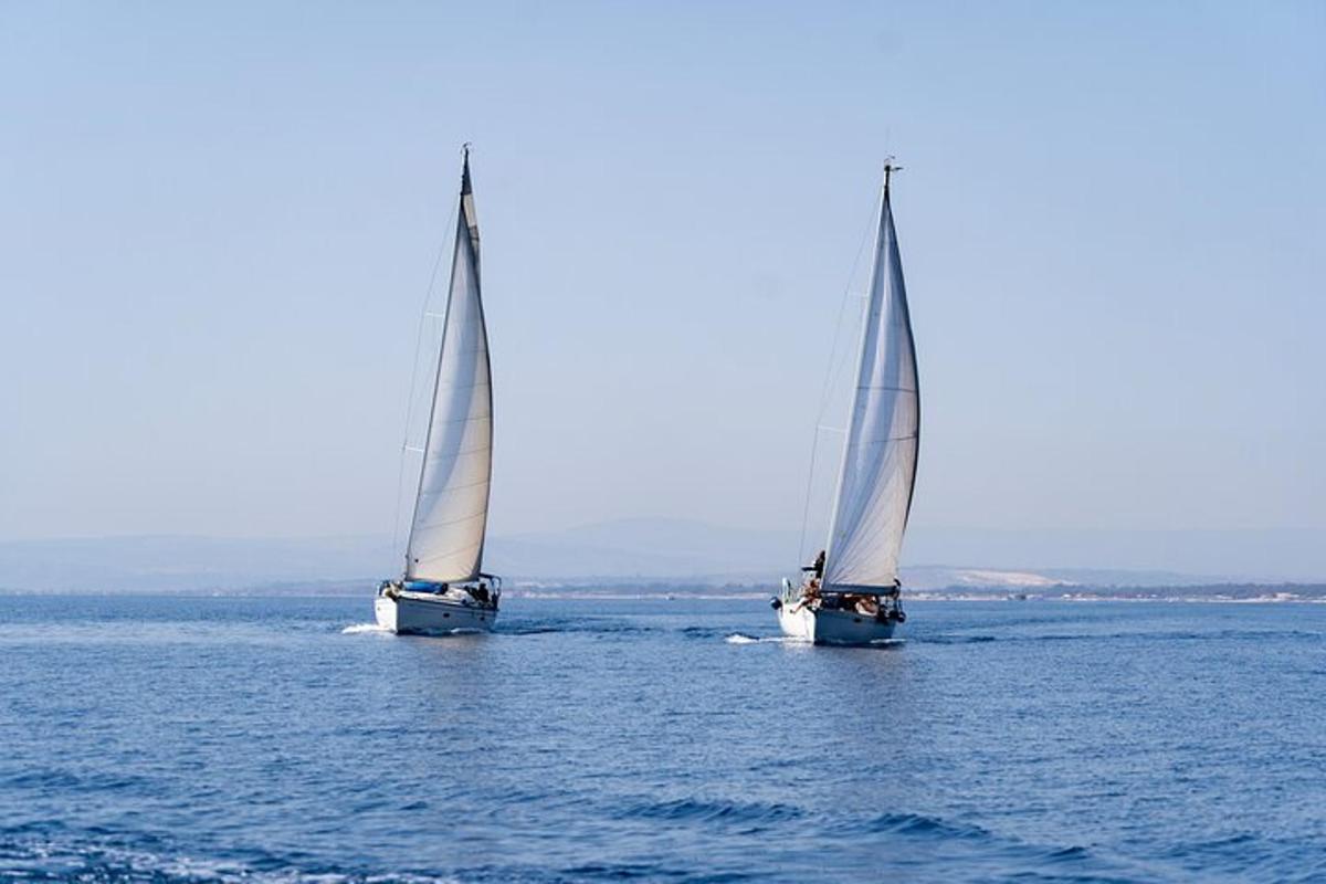 dve jadrnici v vodi na oceanu