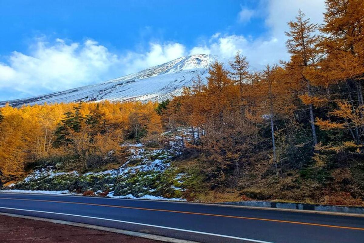 Una montaña cubierta de nieve con árboles y una carretera.
