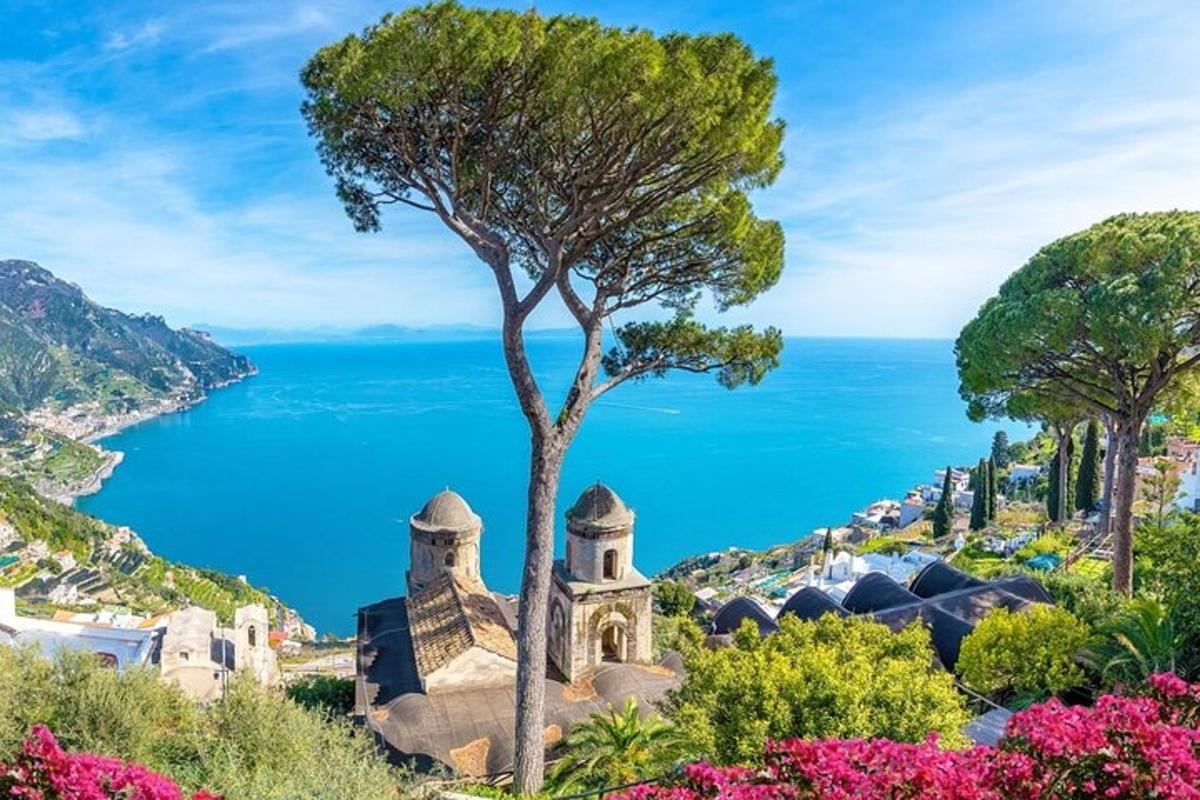 una vista de la costa amalfitana amb un arbre