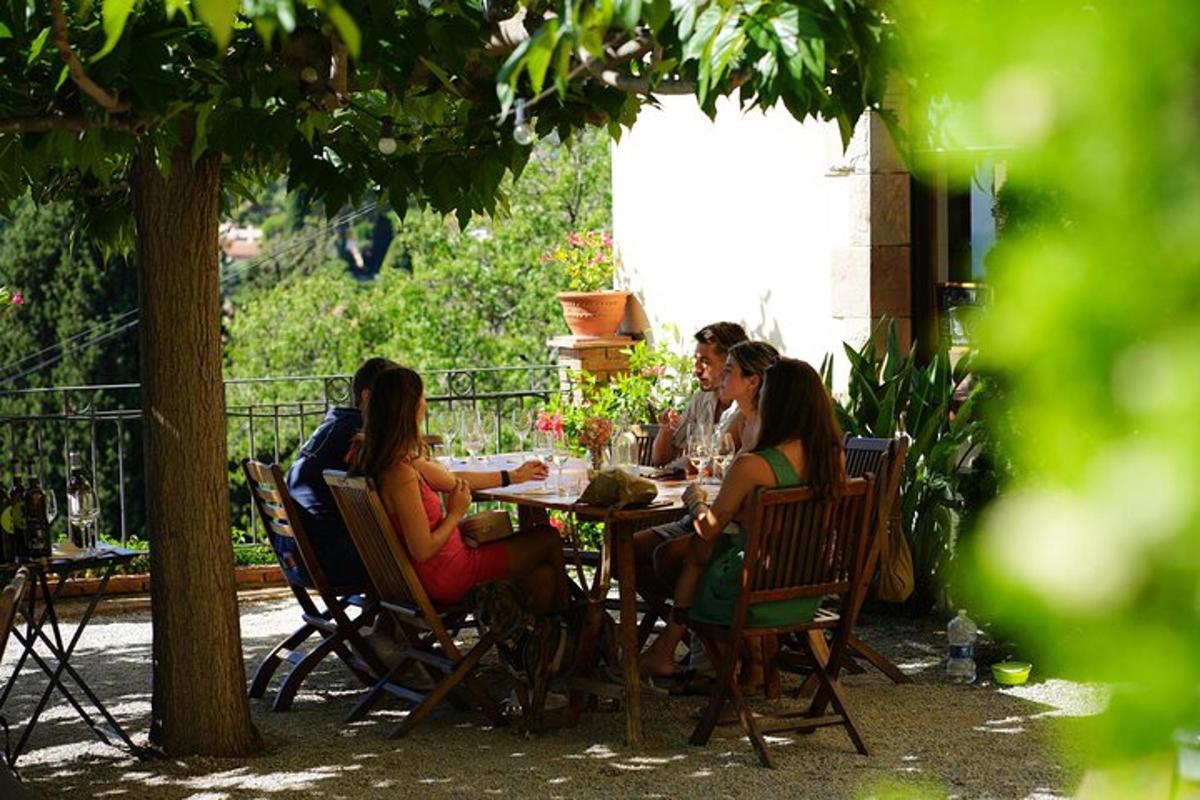 Un grupo de personas sentadas en una mesa bajo un árbol.