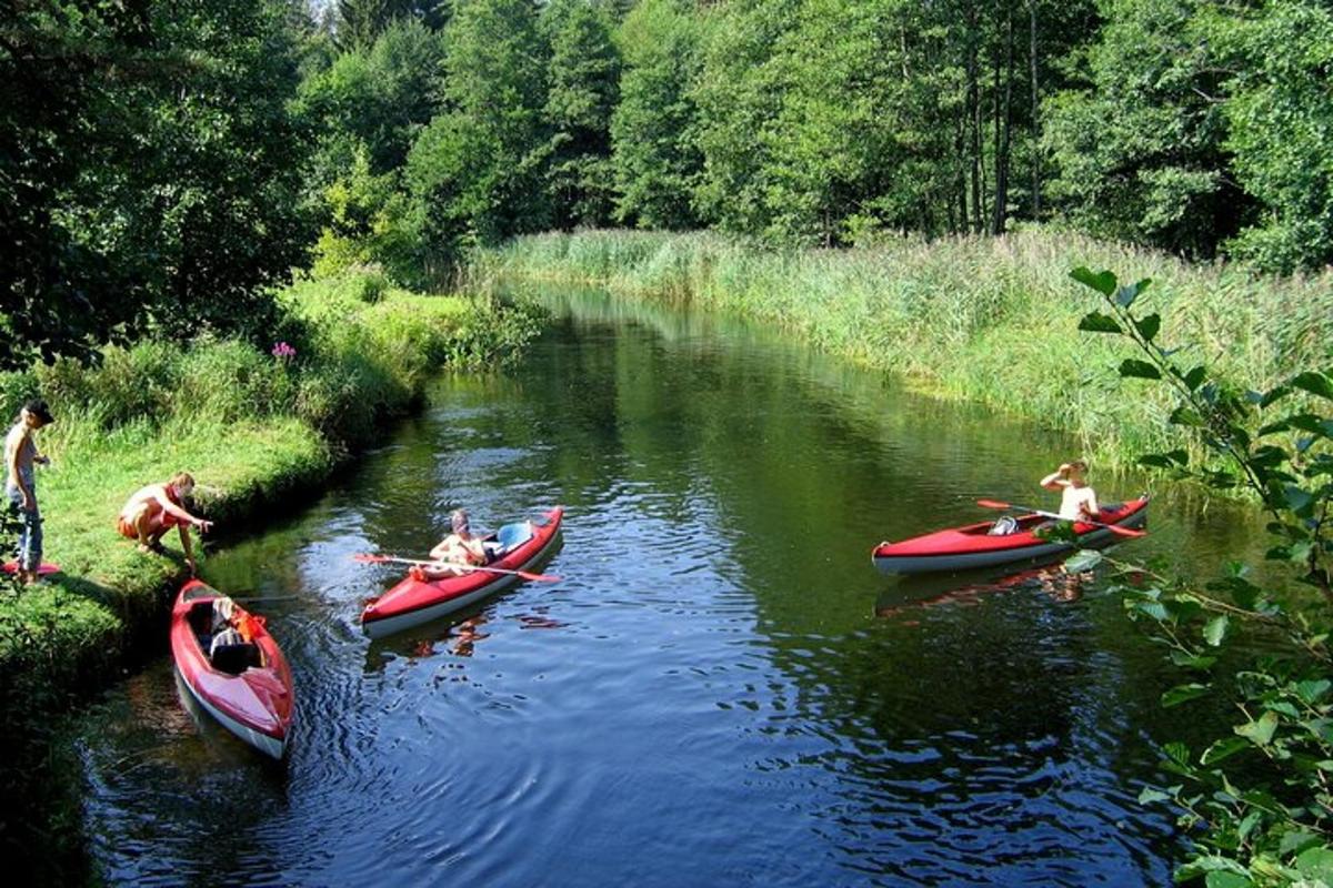 a group of people in canoes on a river