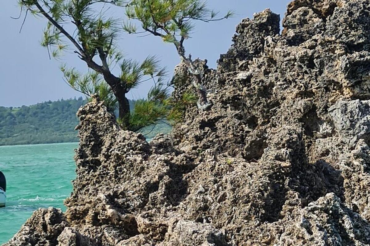 una orilla rocosa con árboles en el agua