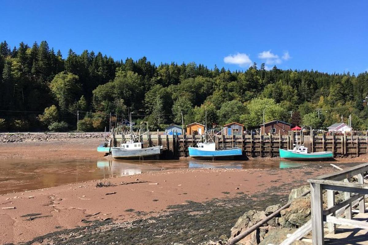 a group of boats docked in the water