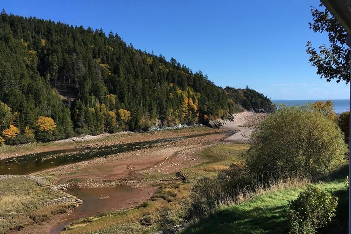 a view of a field with trees and a river