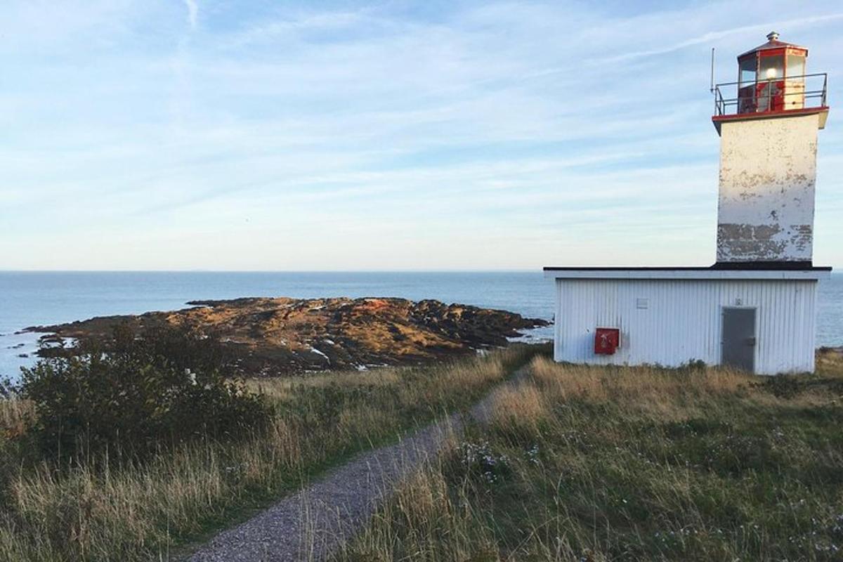 a lighthouse sitting on top of a hill next to the ocean