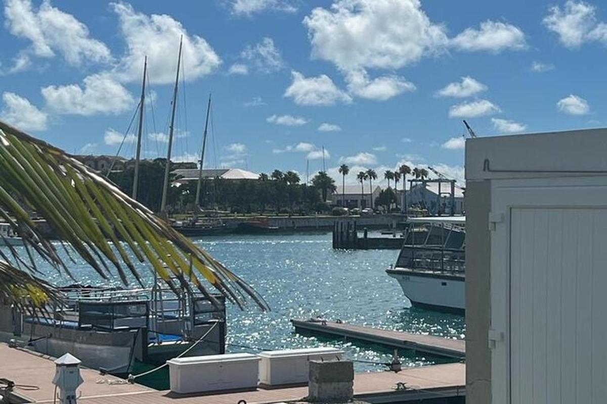 a group of boats docked at a marina
