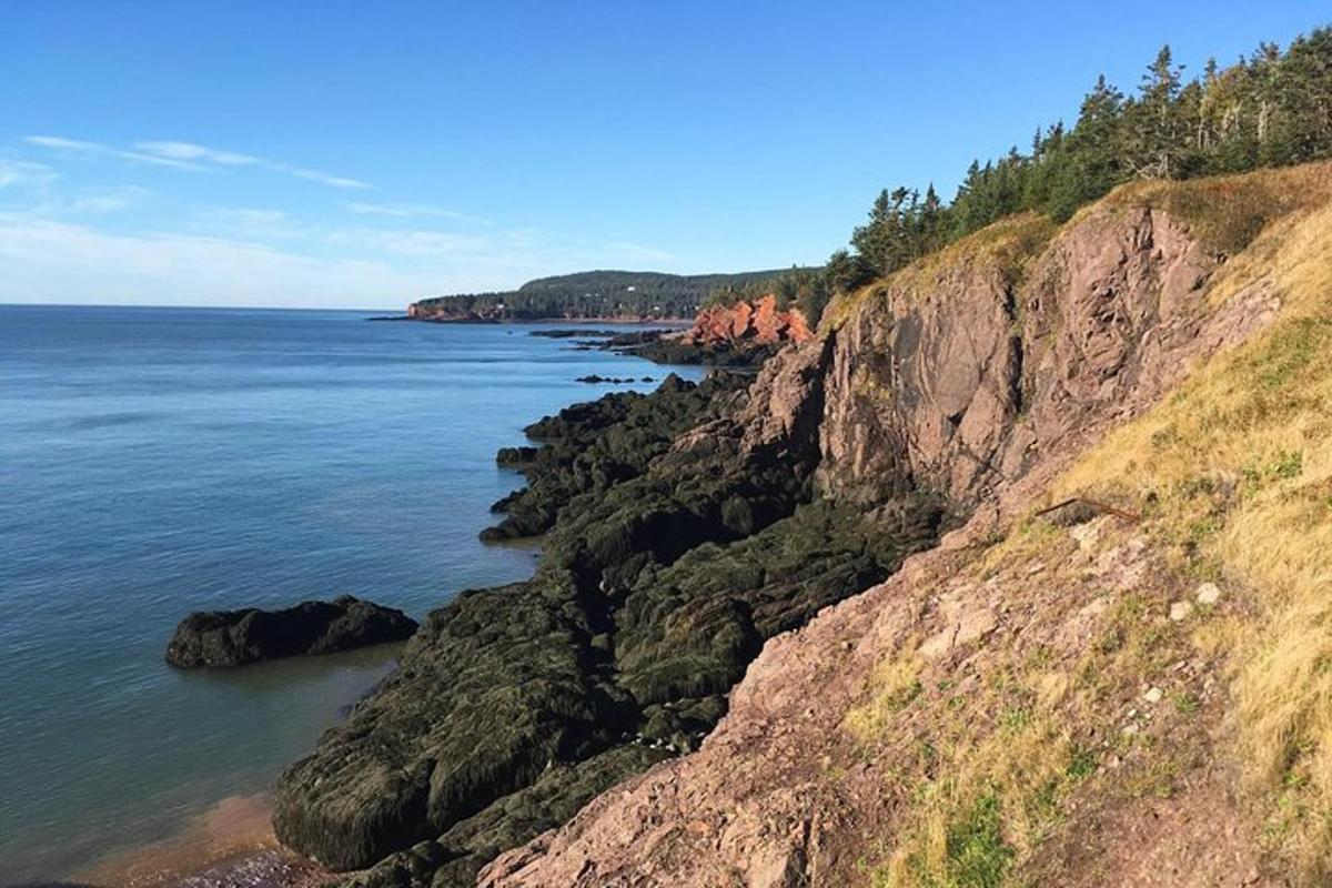 a view of the ocean from a cliff