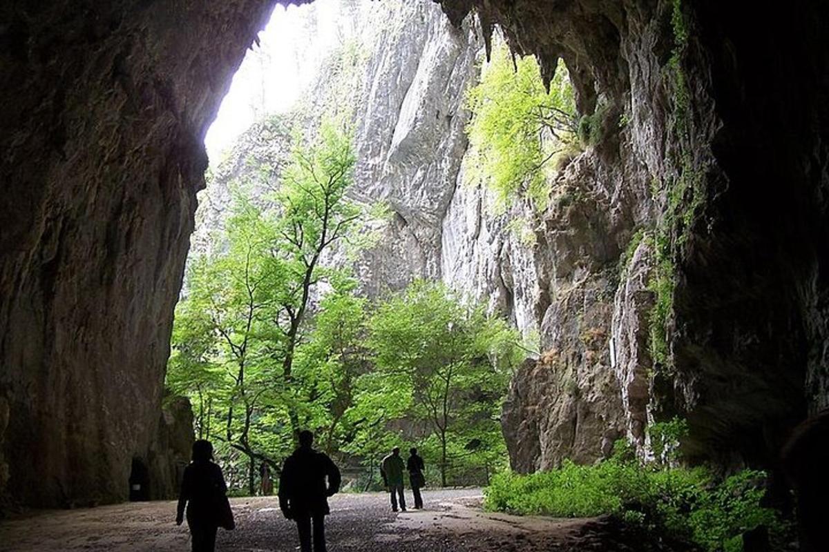 Fotografia 3 a atracției