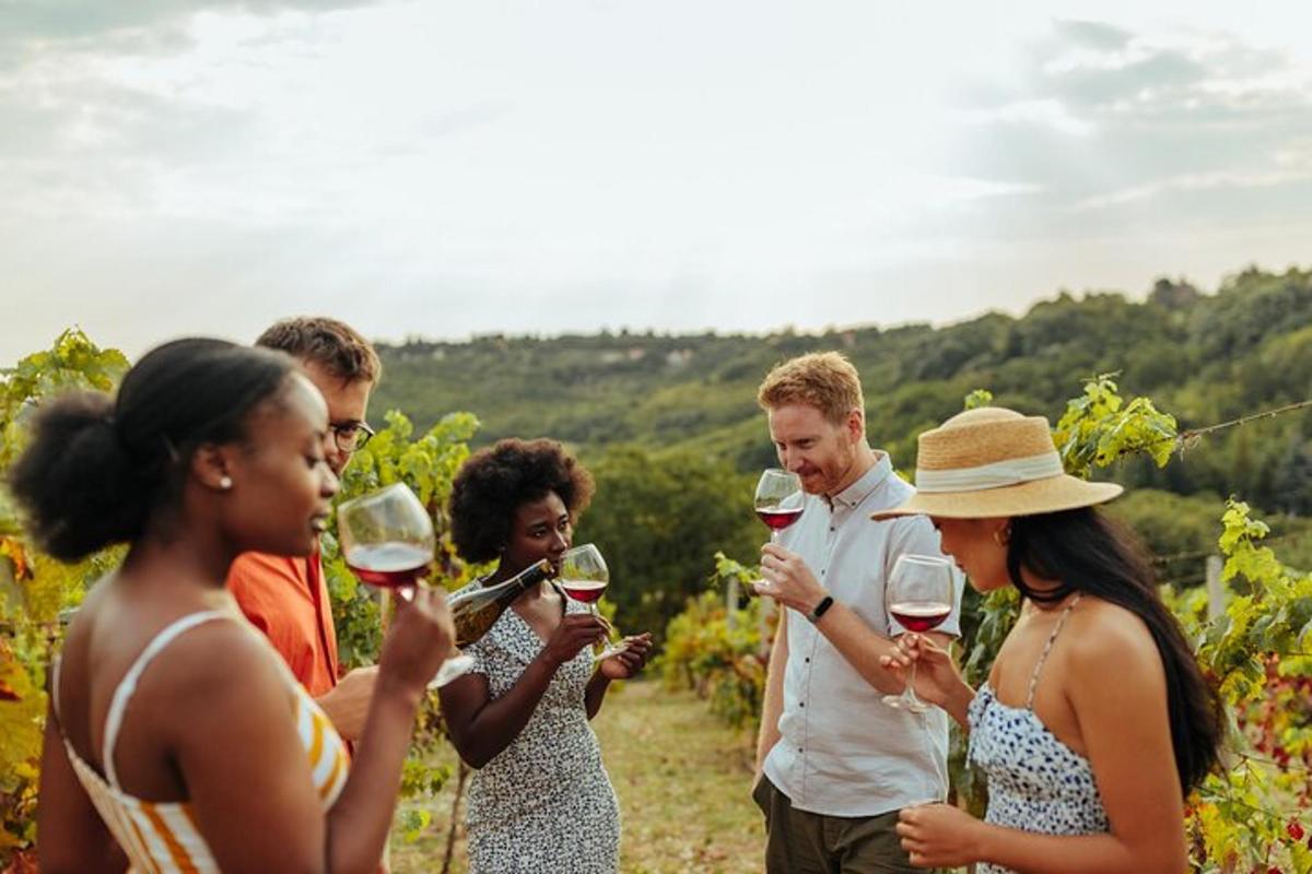 Un grupo de personas bebiendo vino en un viñedo.