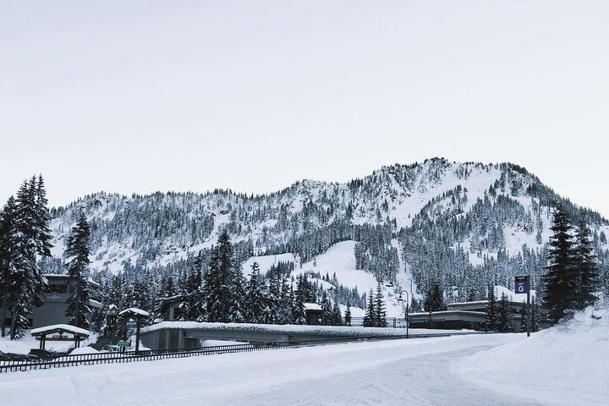 a snow covered mountain with a ski lodge and a road