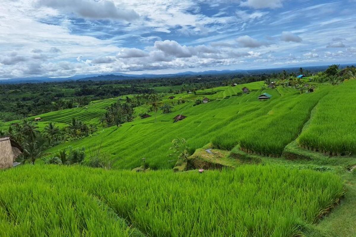 lereng bukit yang hijau dengan rumput hijau dan pokok