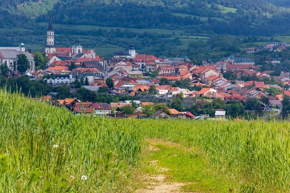 Fotografia 4 a atracției