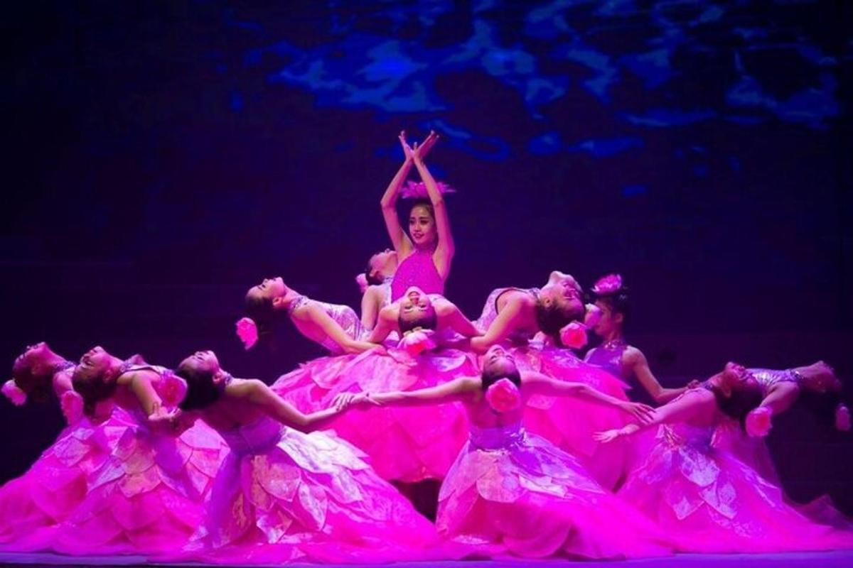 un grup de ballarins amb vestits roses a l'escenari