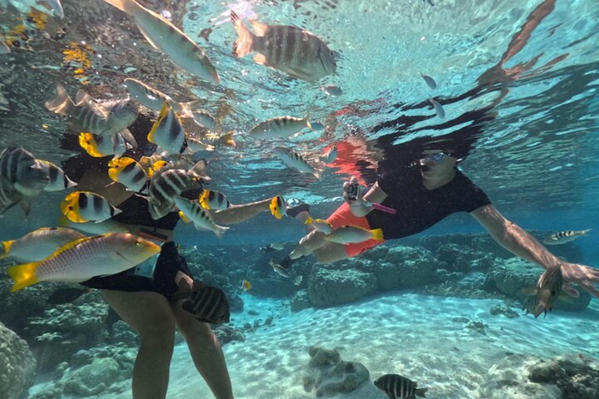 a group of people swimming in the water with fish