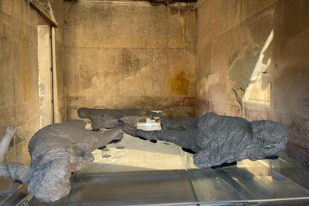 posąg dwóch słoni wystawiony w muzeum