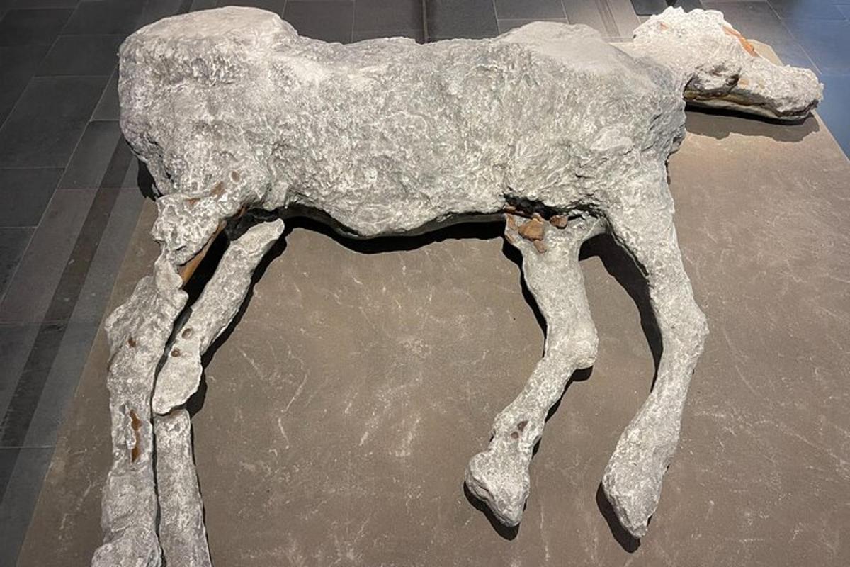 una estàtua d'un gos feta de roca
