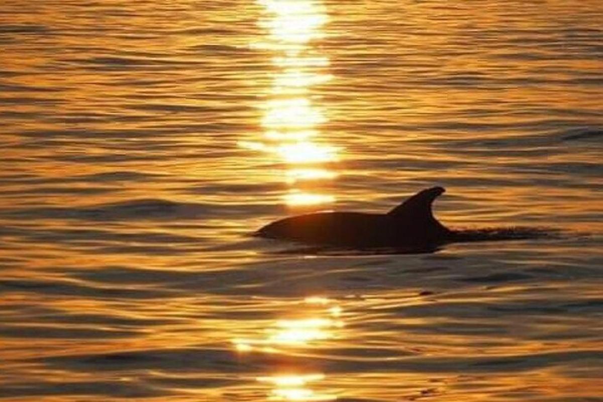 Lankytinos vietos ar pramogos nuotrauka numeris 6